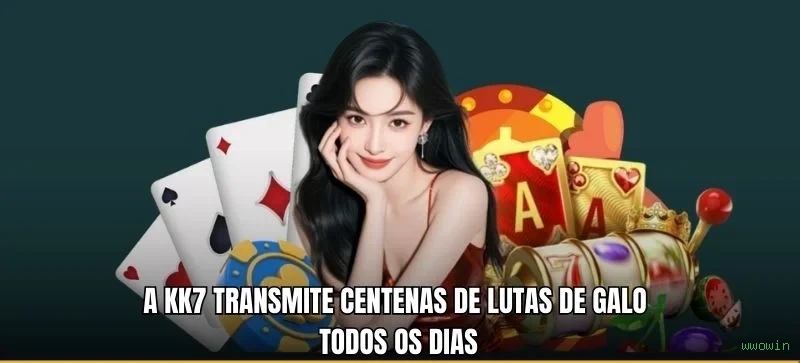 Guias de instalação da wwowin